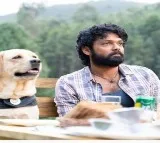 FIR filed against Kannada film star Rakshit Shetty for copyright violation