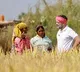 Telangana Government Announces Rs 2 Lakh Crop Loan Waiver Guidelines