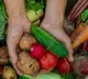 Ensuring food safety during the rainy season is crucial to prevent illnesses
