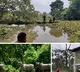 Wild animals at Kaziranga National Park bear the brunt of floods