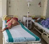 Six children die due to suspected Chandipura virus in Gujarat