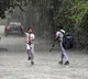 Monsoon to be active in peninsular & central India for next 5 days: IMD