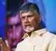 CM Chandrababu to release another whitepaper on law and order status in AP
