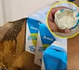 Man Finds Live Worms in Amul Buttermilk Ordered Online