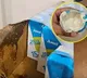 Man Finds Live Worms in Amul Buttermilk Ordered Online