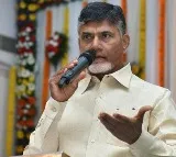 Chandrababu video conference on Rottela Panduga