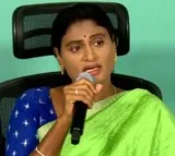Sharmila demands AP Govt for farmers loan waiver