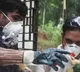 Kerala govt confirmed Nipah infection in a 14 year old boy