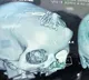 70 needles inserted into odisha womans head in the name of treatment