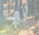 Pak army sent terrorists into Kashmir