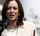 Kamala Harris secures majority of delegates, Trump campaign targets her on 'border invasion'