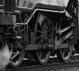 goods train derailed in Nellore