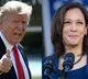 Kamala Harris trumps Donald among Indian-Americans, shows Harris campaign internal poll