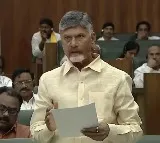 AP CM Chandrababu Naidu Criticizes Land Titling Act as Dangerous