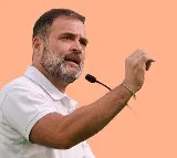 Farmer leaders from six States meet Rahul Gandhi