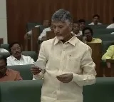 CM Chandrababu announces CID probe on liquor policy irregularities