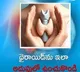 Foods that help in controlling thyroid disease