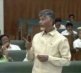 CM Chandrababu releasesm white paper on law and order