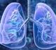 This Chinese medicinal fungus may help treat chronic lung disease