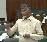 AP CM Chandrababu releases white paper on finance