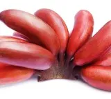 Benefits of Red Bananas