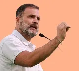 Lok Sabha House Committee offers Rahul Gandhi new residence