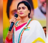 YS Sharmila lashes out at YS Jagan