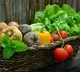Eating a vegan diet for short period can help reduce biological age