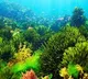 Earth life-environment interactions dating back 500 million years studied