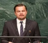 Leonardo DiCaprio lauds expedition for rediscovering 21 species in
 Madagascar forest