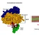 Indian scientists' protein study to boost treatment for Alzheimer's, Parkinson's