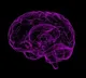 Researchers map out genetics of schizophrenia