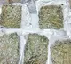 Police seized huge quantity of cannabis in Hyderabad