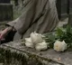 Bereavement in early life may accelerate aging says researchers