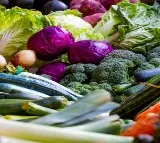 Plant-based proteins offer major health advantages over animal proteins