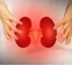 Liquid biopsy could prevent kidney transplant rejections, new study shows