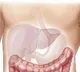 Homemade recipes for liver detoxification unscientific: IMA