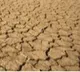 Over half of harvest destroyed due to 'historic' drought in Zimbabwe: UN