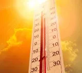 Heatwaves continue to scorch world as 2024 sees second-hottest July ever