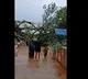 Rotary club to take care of uprooted Cinema Cheetu