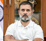 'Good decision': Rahul Gandhi thanks PM Modi for visiting Wayanad