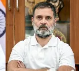 'Good decision': Rahul Gandhi thanks PM Modi for visiting Wayanad