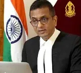 Chief Justice Recalls Scene From Munna Bhai MBBS Movie To Teach Empathy To Young Doctors