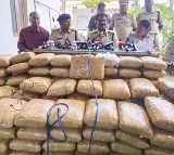 Guntur Police Siezed 230 Kilo Ganja