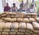 Guntur Police Siezed 230 Kilo Ganja