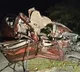 5 students dead after Truck collides with car at tiruvallur