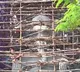 Khairatabad Ganesh Getting Ready for Ganpati Festival