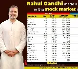 Rahul Gandhi made Rs 46 lakh profit in just 5 months