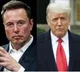 Illegal immigration saved my life: Trump tells Musk in interview