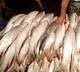 Eating fish laced with carcinogen formalin can damage your kidneys: Experts